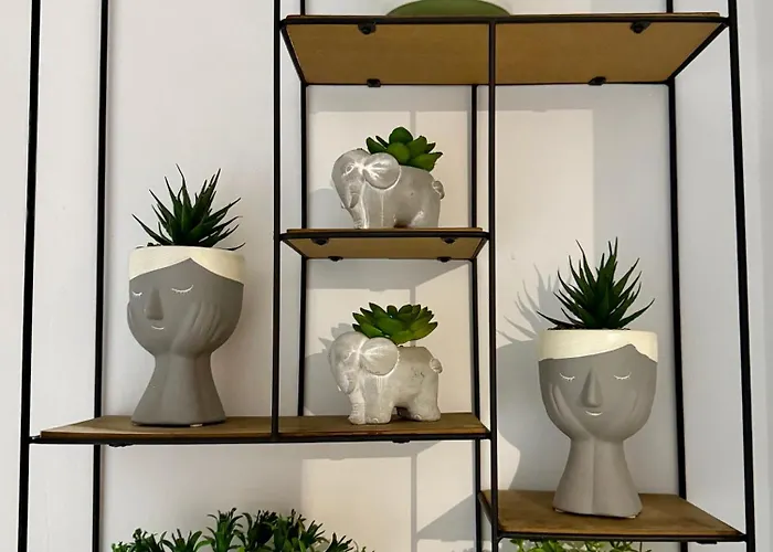 Hi5 ホームステイ ティラナ